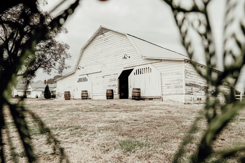 Love is the key to strive to become better than we are